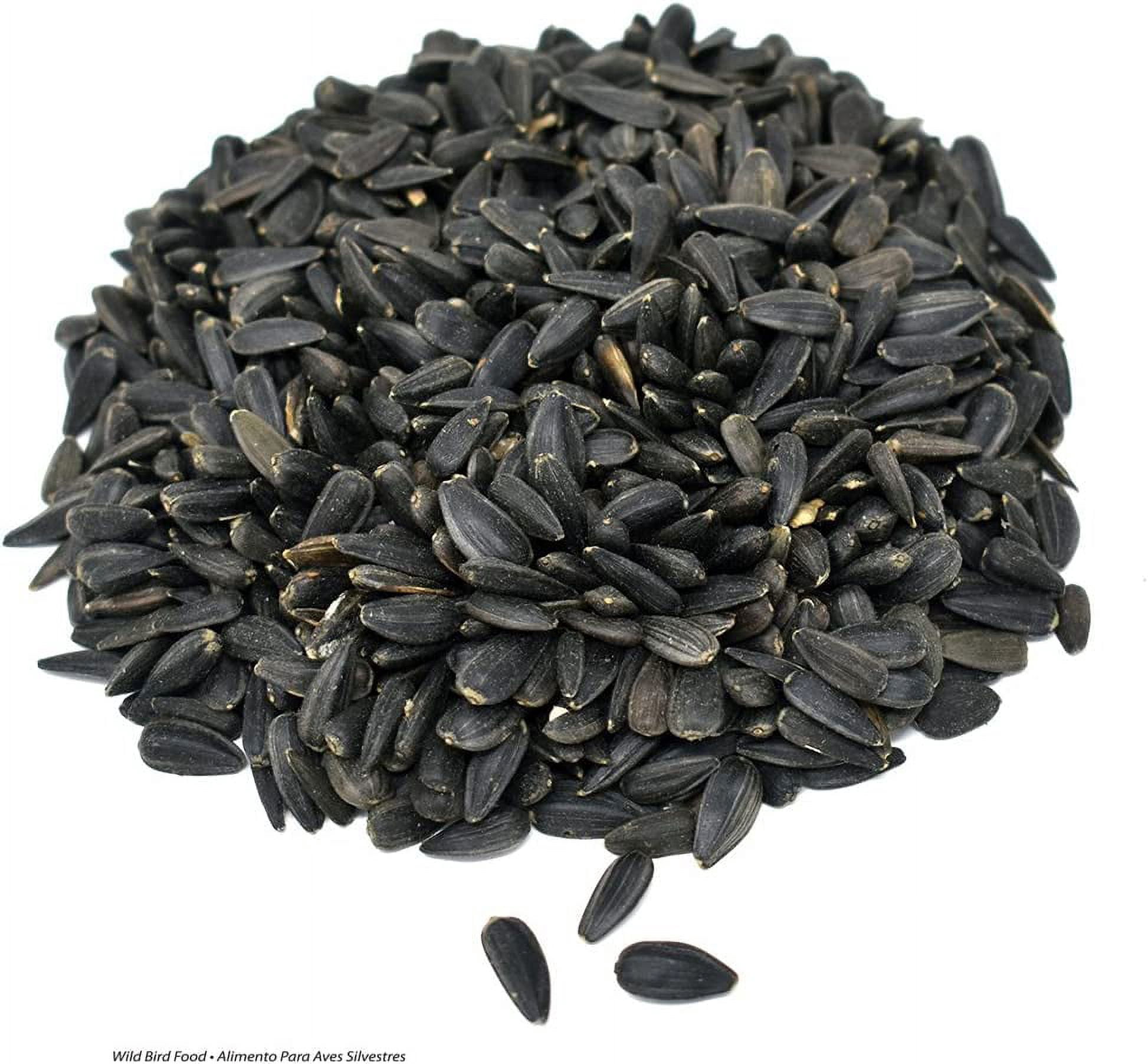 Valley Splendor Black Oil Sunflower Seed, 40 lbs.