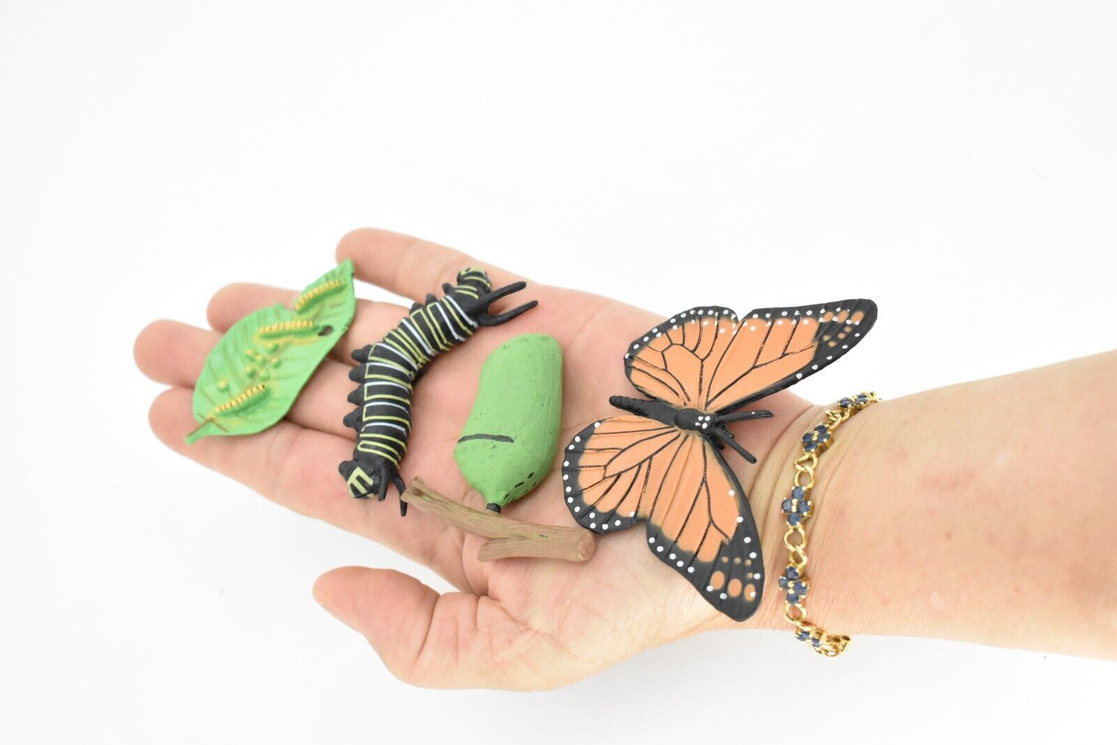 Life cycle figurines of a Monarch butterfly - Safari Ltd