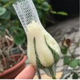 thumbnail image 3 of 100PCS Rose Buds Protection Mesh Cover - Rosebud Protective Netting Covers, 3 of 9