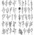 thumbnail image 2 of Etiqueta Engomada Del Tatuaje Brazo Tatuajes Pegatinas 10pcs Planta Hierba Fresca para Hombres Mujeres, 2 of 9