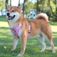 thumbnail image 4 of BadPiggies Reflective Dog Harness No Pull Pet Vest Breathable Chest Harnesses Adjustable for Small Medium Large Dogs Cats, 4 of 10