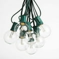 thumbnail image 2 of 100 Foot G50 LED Warm White String Lights with Green Wire, 2 of 8