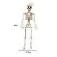 thumbnail image 2 of XGFHYJEH Halloween Decorations Decor, Halloween Skeleton Plastic Human Skull Pendant Foldable Decoration, 2 of 7