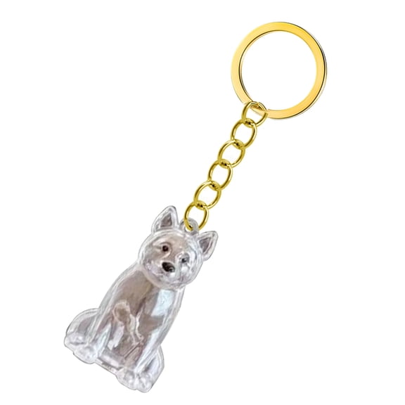 Tizuqe Clear Pet Memorial Keychain Pet Hair Bottle For Preserving Dog Hair Box
