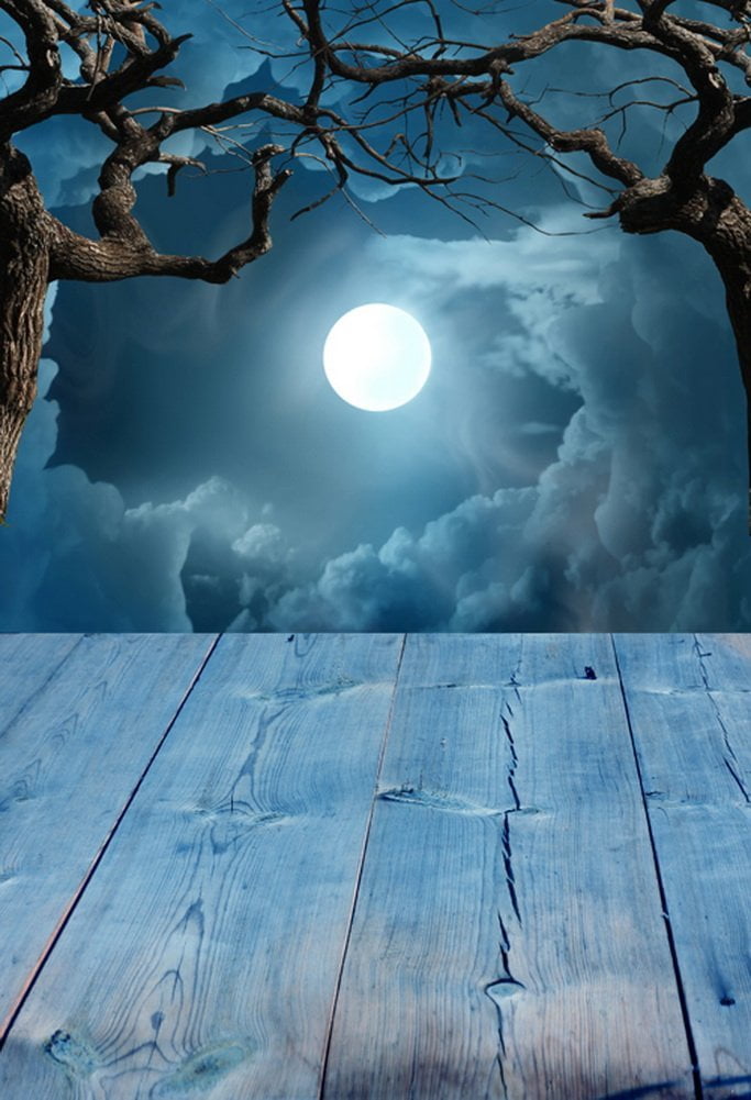 HelloDecor Polyester Fabric 5x7ft Spooky Halloween Night Full Moon Wood