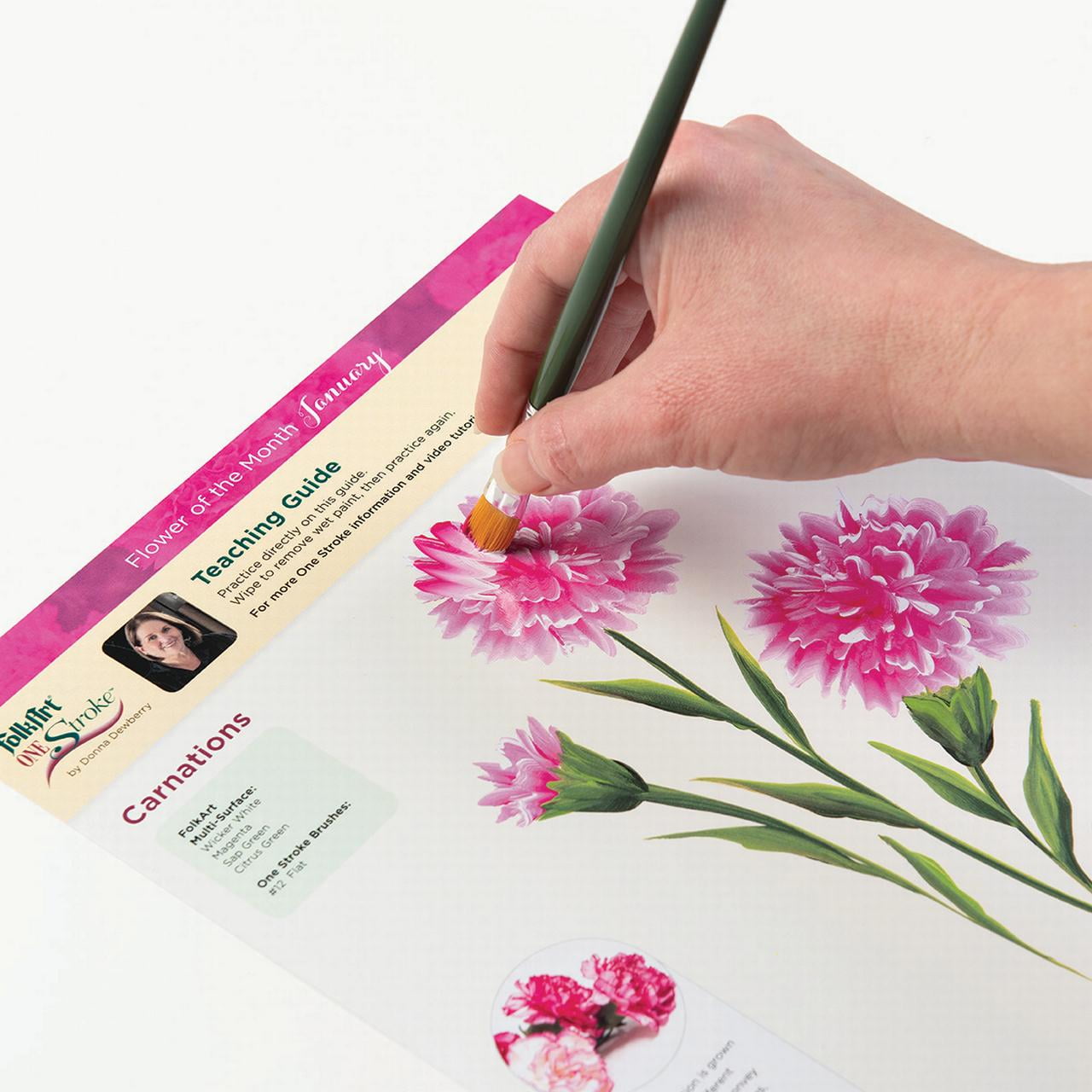 FolkArt One Stroke Learn to Paint Flower of the Month Kit, 35 Piece