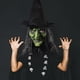 thumbnail image 2 of Máscara de Halloween JanHm Realista Completa Anciana Aterradora Bruja Cosplay Látex con Sombrero, 2 of 5