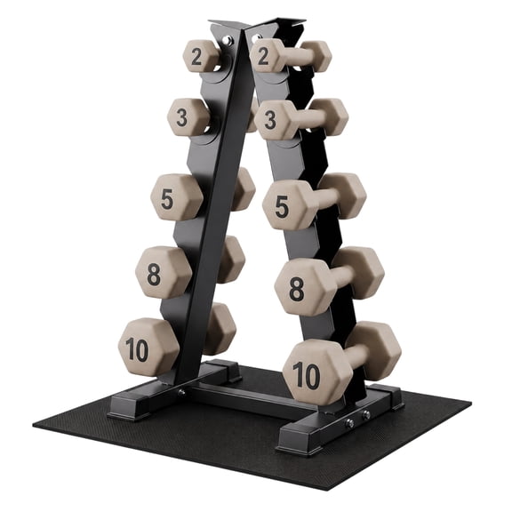 Aurorafy Neoprene Dumbbell Workout Set with Rack, Pair of 2, 3, 5, 8, 10lb Weights, Beige