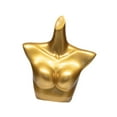 thumbnail image 2 of Almencla Female Mannequin Torso Underwear Display Stand for Retail Stores Shows Malls Lingerie Rack, 2 of 8