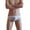 White, variant on Mens Underwear Men's Underwear Ice Silk Briefs Low Waist Elastic Buttocks Underwear