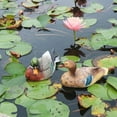 thumbnail image 3 of Mandarin Duck Statue Ornament Pool Sculpture Decoration Resin Multicolor Durable Decoy Artificial Animal Sculptures, 3 of 13