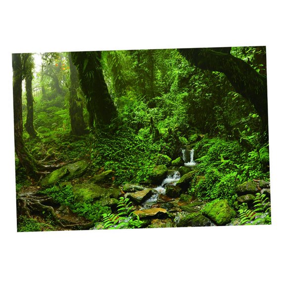 Decodeary Aquarium Background 3D Background Poster Fish Wall Tank Decorations Sticker 61x41cm Grass Green 61x41cm