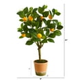 thumbnail image 2 of Nearly Natural 24in. Lemon Artificial Tree, 2 of 3