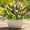 Mix Color, variant on N&T NIETING 10 Bundles Artificial Plants Outdoor Fake Monkey Grass with Flowers for Pot Garden Verandah Easter Decor for Window Garden Office Patio Hanging Planter Pathway Front Porch (Mix Color 2)