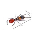 thumbnail image 3 of De Kulture Works Iron Ant Wall Mount Decorative Collectible Sculpture Showpiece, 3 of 7