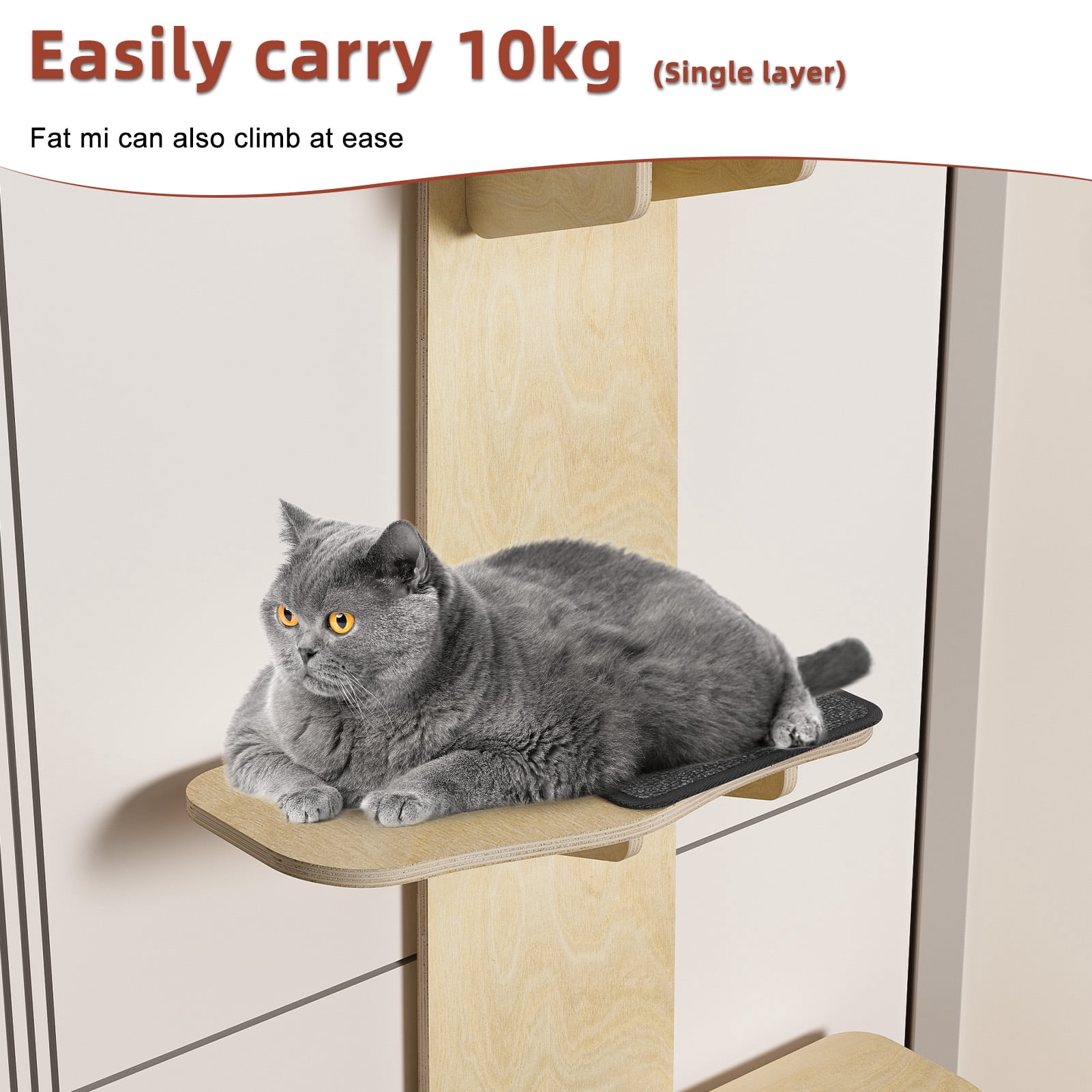 Baellsa Cat Climbing Shelves Cat Tree, 4-Levels Over Door Cat Climber for Jumping, Stable Cat Stairs Cat Hammock for Most Kittens & Adult Cats