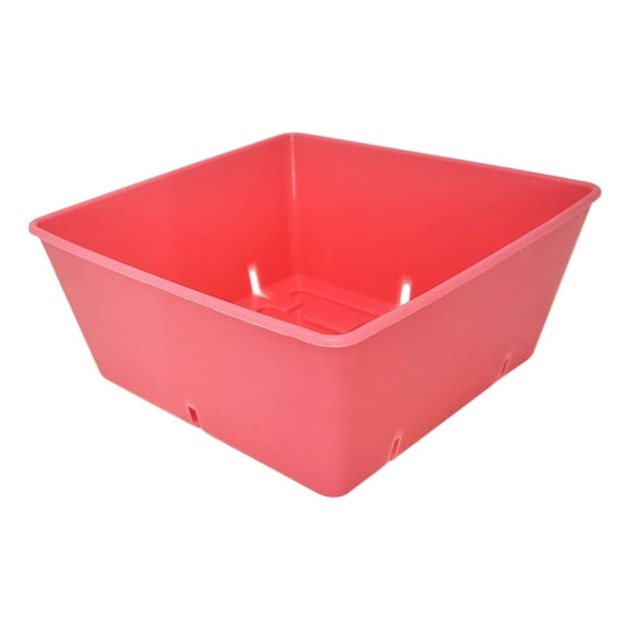 Bootstrap Farmer Plateau de Semences 5x5 Rose - Lot de 80 - Extra Fort 5 x 5 Inserts pour Cultiver Micro-Pousses, Graines de Blé, Système 1020 801 Plateaux