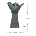 thumbnail image 3 of Hi-Line Gift Outdoor Lighted Bird Bath Fountain, 3 of 5