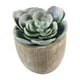 thumbnail image 1 of BESTYASH Falsa Decorativa Verde Ideal Para Estantes, Escritorios Y Balcones, 1 of 4