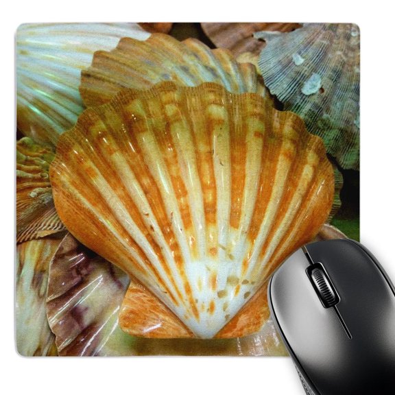 3dRose, Sea Shells Up close, MousePad