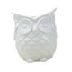thumbnail image 4 of Maceta con forma de búho, bonita maceta de cerámica decorativa, maceta de búho para No escuches blanco, 4 of 9