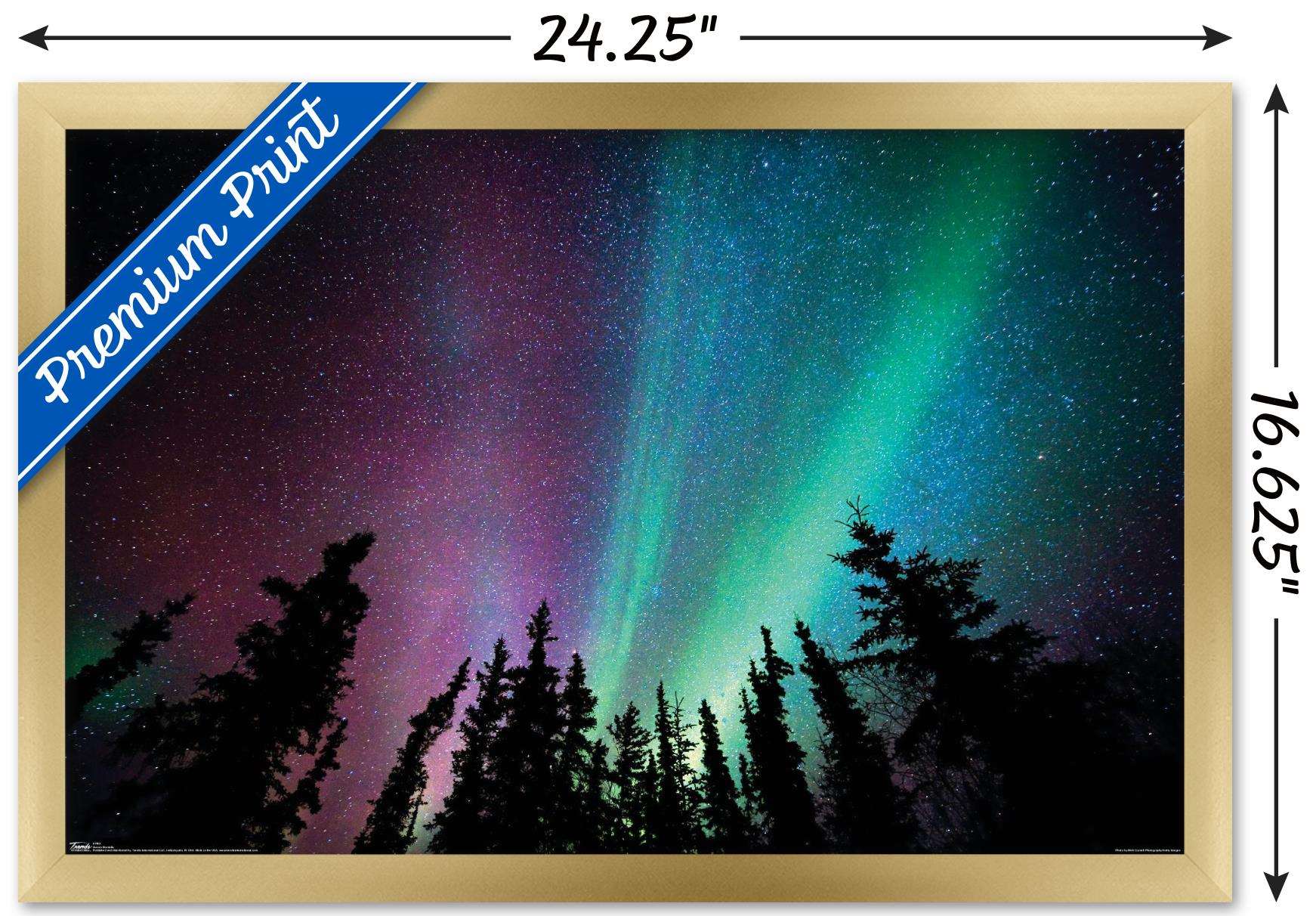 Aurora Borealis - Sky Wall Poster, 14.725" x 22.375", Framed