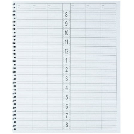 DL Pro Appointment Book, 6-Column #DL-C200