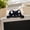 C, variant on Creative 3D Craft Figurine Computer Monitor Decor, Car Central Control Screen and TV Decorations, Personalized Animal Collectible Figurines, Monitor Decor for Home, Office, Car Decoration