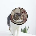 thumbnail image 1 of Hand-Drawn-Invitation-Design Soft Cat Dog Recovery Collar Adjustable Cat Cone Wound Healing Protective After Surgery for Kitten Cones After Surgery, 1 of 7