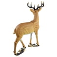 thumbnail image 3 of Design Toscano Woodland Buck Deer Statue, 3 of 3