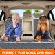 thumbnail image 2 of Yuntec Funda para asiento de coche para perros, funda para asiento trasero para perros, protector de asiento de coche para mascotas, funda impermeable para asiento de coche, funda antideslizante para, 2 of 5