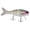 Gizzard Magic, variant on Bucca Bull Wake - 5" (7/8oz) - Pearl Bone