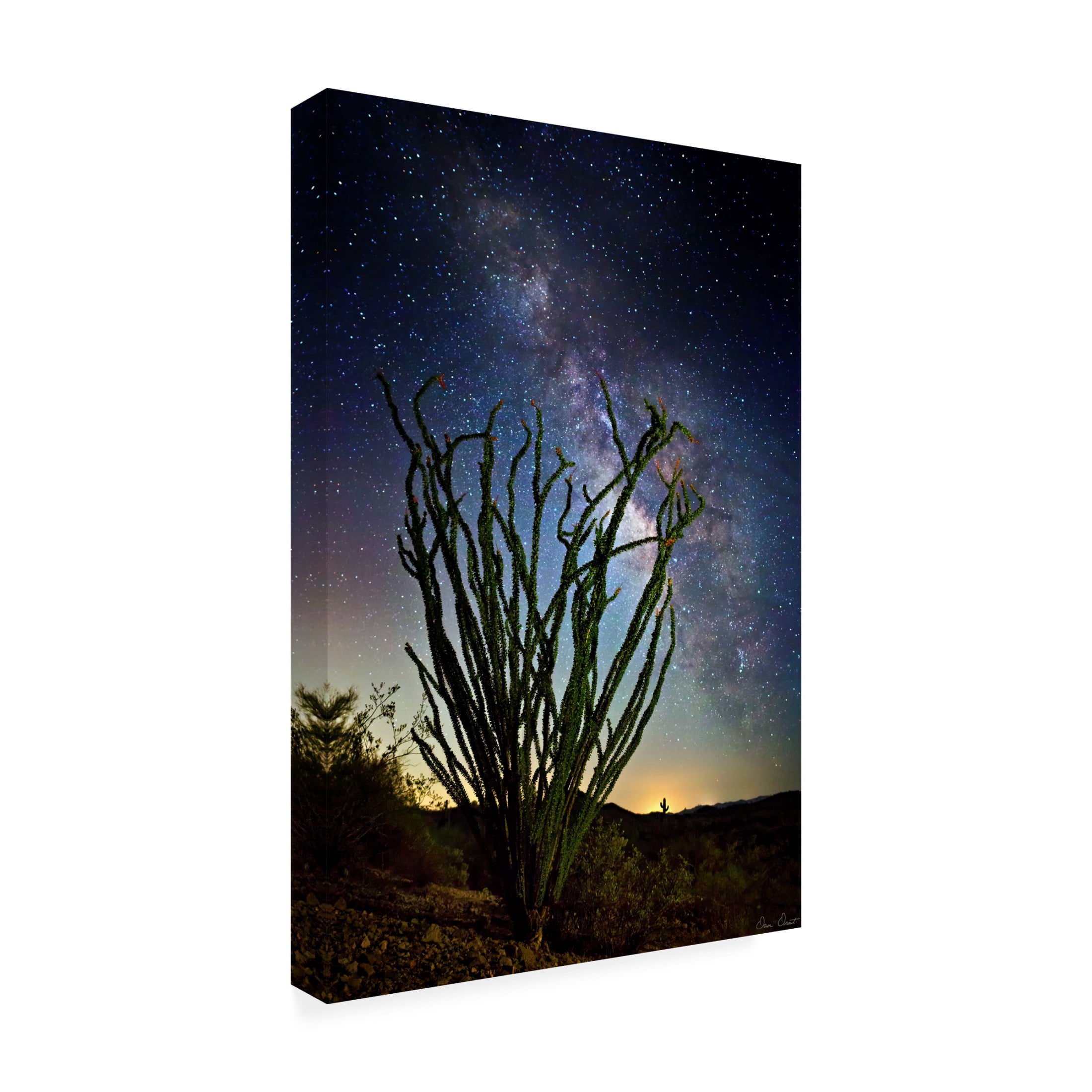 Trademark Fine Art David Drost  Desert Lights II Canvas Wall Art