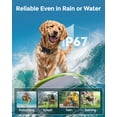 thumbnail image 4 of Collar de adiestramiento para perros PETSMINDER, 4000 pies, recargable, IP67, 4 of 8