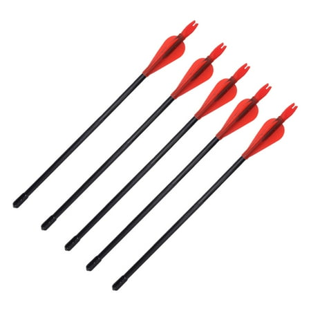5 Pcs Outdoor Toy Hunting Arrows for Compound Bows Pot Creative and Funny