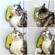 thumbnail image 3 of Bola de pared de hierba gatera, juguete de pared de hierba gatera para gatos, bola para lamer hierba gatera, bola giratoria para gatos, juguete para masticar de pared para gatos, 3 of 4
