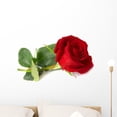 thumbnail image 1 of Red Rose Wall Mural by Wallmonkeys Peel and Stick Graphic (24 in W x 16 in H) WM151978, 1 of 4