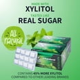 thumbnail image 5 of XyloBurst Gum | Xylitol Chewing Gum | Sugar Free, Gluten Free, Keto Friendly | Aspartame Free Gum For Oral Health | Spearmint | 12 Pieces, Pack of 12, 5 of 8
