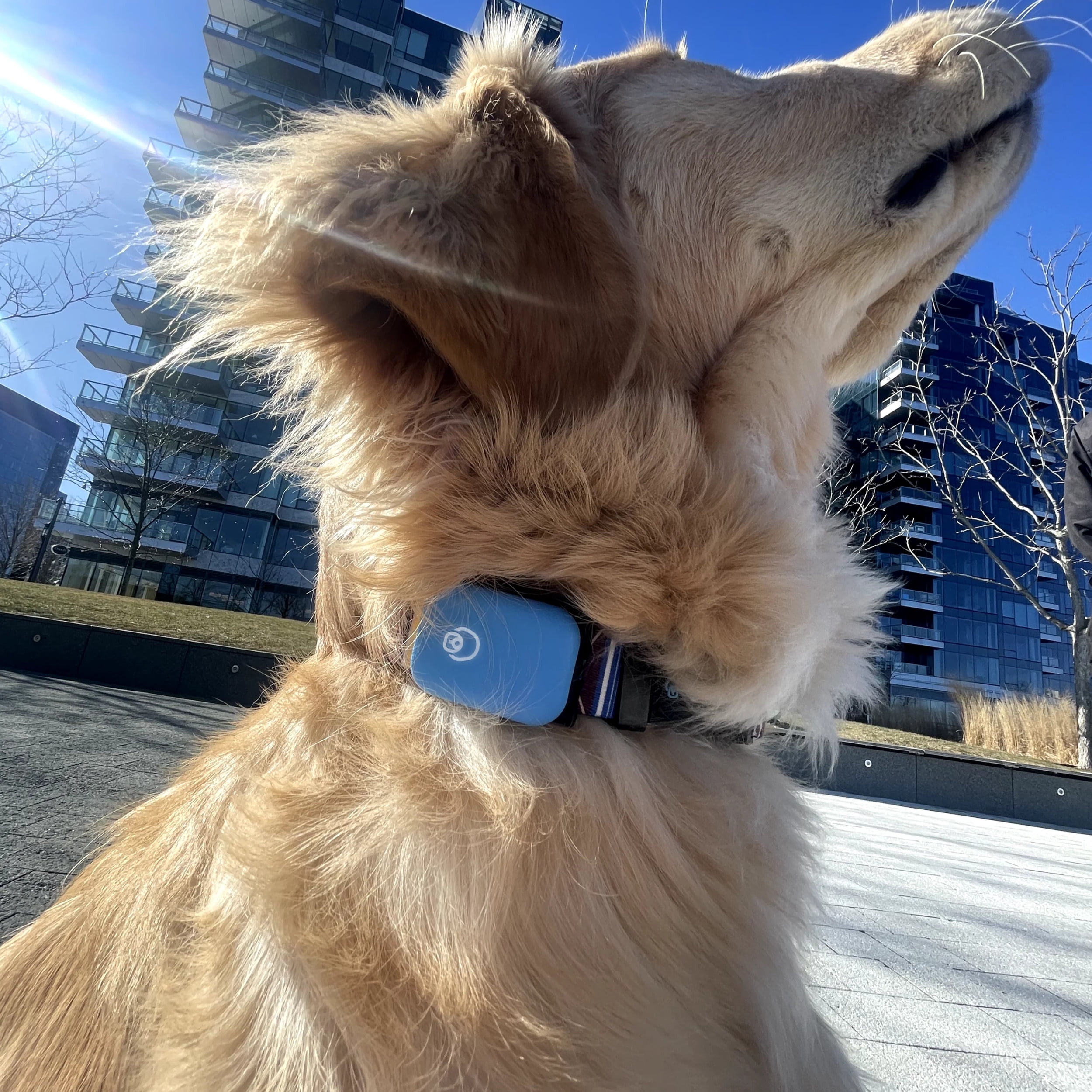 Queva™ Health + Behavior Monitoring (Dark)