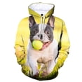 thumbnail image 5 of Sudadera con capucha con estampado 3D de bulldog francés para hombre, sudadera informal de manga larga a la moda, sudadera de calle, ropa de otoño para niños, 5 of 5