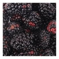 thumbnail image 2 of Zarzamora por kilo, 2 of 3