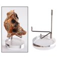 thumbnail image 4 of Paquete de 1 estante de exhibición de acrílico para minerales, piedras , rocas, piezas de , coleccionables, decoración para - L Redondo-L CUTICAT soportes de exhibición, 4 of 8