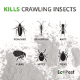 thumbnail image 2 of Insect & Pest Control Killer Dust, 1 lb. | Natural Pest Control Powder for Silverfish, Roaches, Ants, Ticks, and Fleas | Home Pest Powder for Indoor and Outdoor Perimeter | Low Odor and Non-Staining, 2 of 8