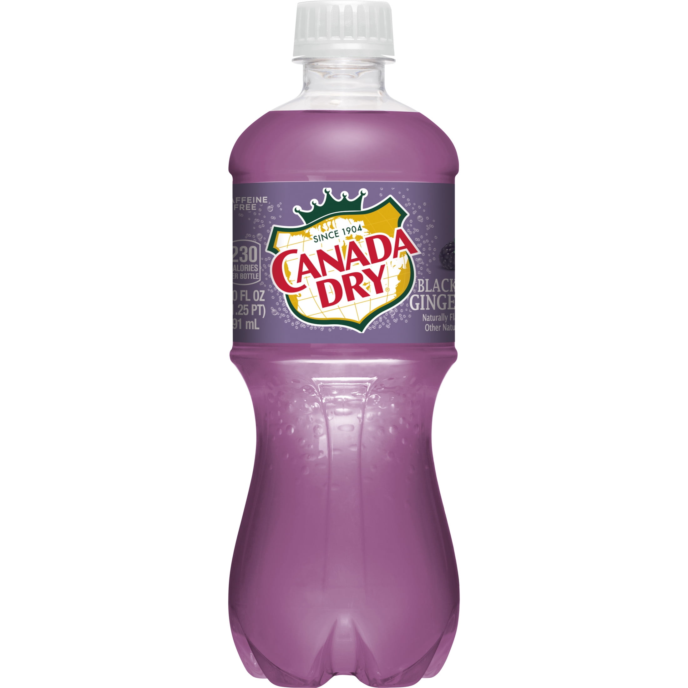 Canada Dry Caffeine Free Blackberry Ginger Ale Soda Pop, 20 fl oz