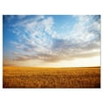 thumbnail image 2 of Wheat Field under Summer Sky - Extra Large Wall Art Landscape, 2 of 3