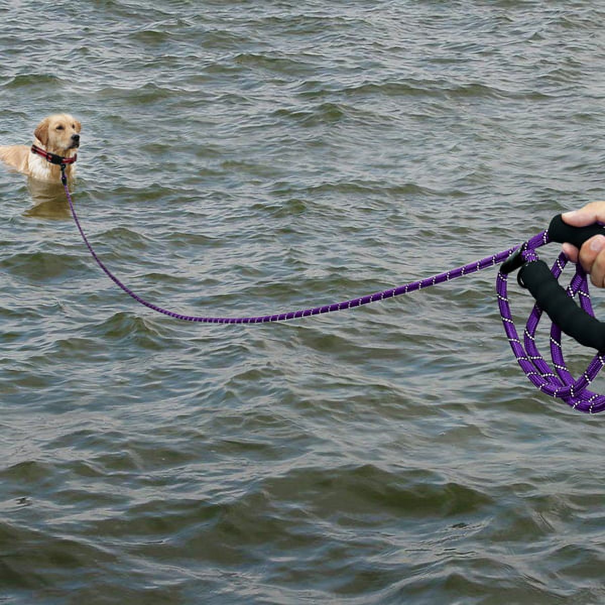 Plutus Pet 50 ft Long Rope Dog Leash, Violet photo 6
