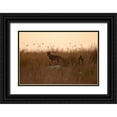 thumbnail image 1 of Gavra, Assaf 18x13 Black Ornate Wood Framed with Double Matting Museum Art Print Titled - Dusk Jackals, 1 of 4
