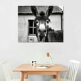 thumbnail image 2 of Nawypu Black and White Wall Art Animal Wall Decor Horse Donkey Sheep Cow Canvas Pictures Prints Funny Decor Posters for Mens Bedroom Farmhouse Decoration Stretched Framed Ready to Hang 20x16 inch, 2 of 4