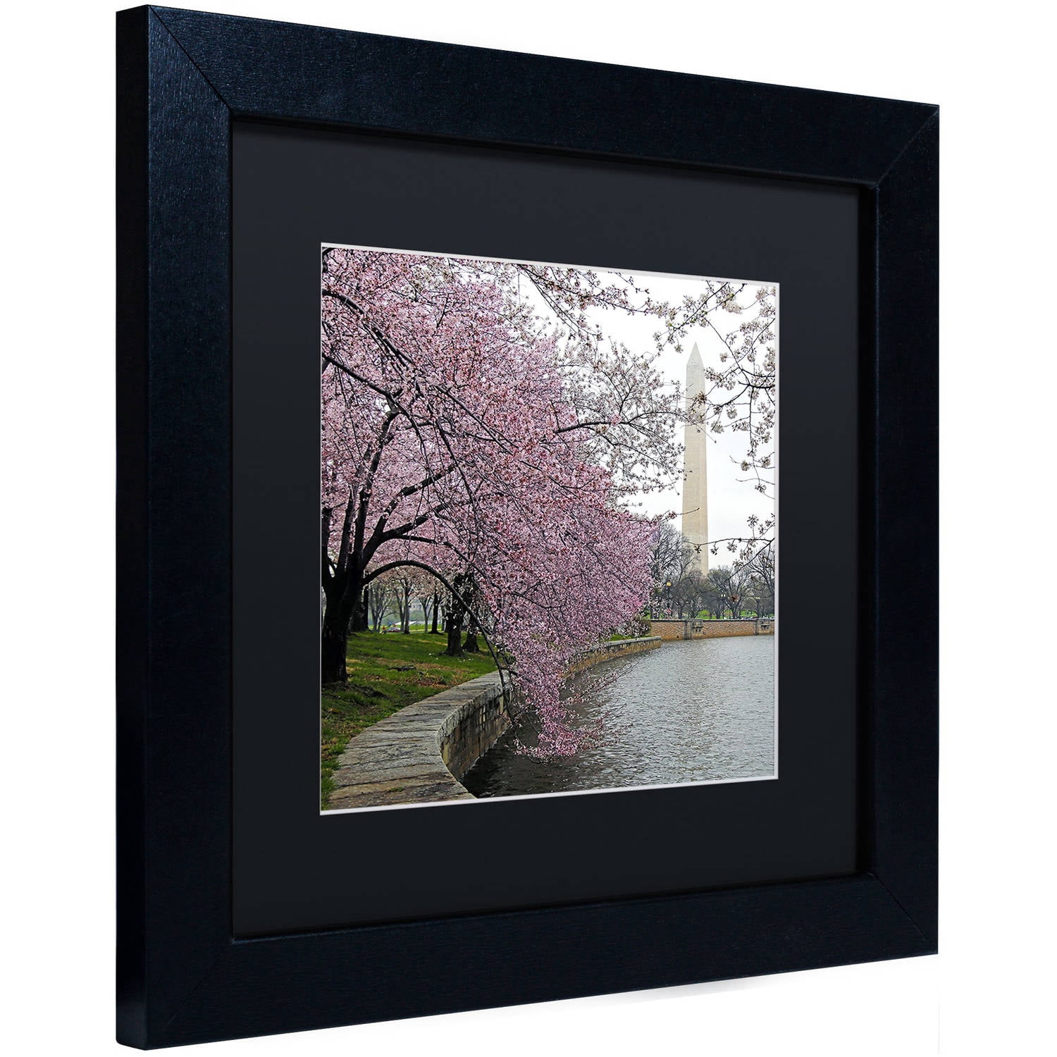 Trademark Fine Art "Washington Blossoms" Canvas Art by CATeyes, Black Matte, Black Frame