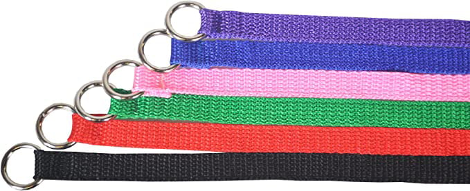 6 Foot Slip Lead Size: 6 x 1, Colors: Various Slip Leads Kennel Leads with O Ring for Dog Pet Animal Control Grooming Doggy Daycare Vet Rescues Veterinarian Shelter 